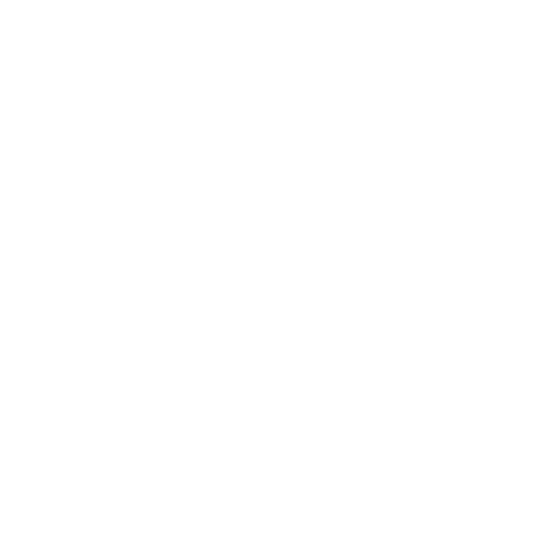 Plane Badge
